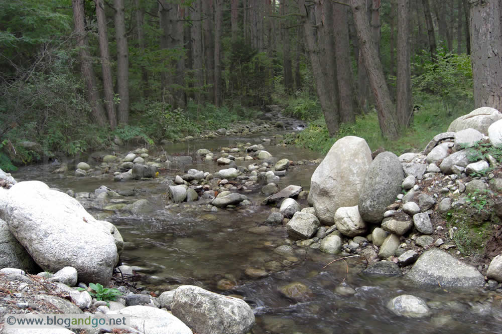 Bansko - Mountain stream